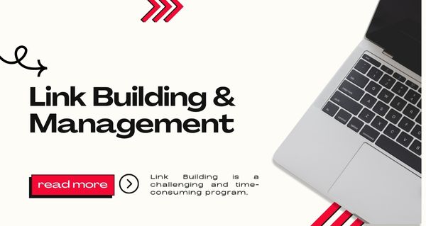 Link Building & Management